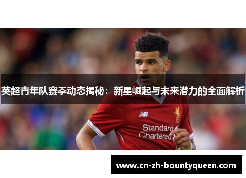 英超青年队赛季动态揭秘:新星崛起与未来潜力的全面解析 英超青年队赛季动态揭秘:新星崛起与未来潜力的全面解析