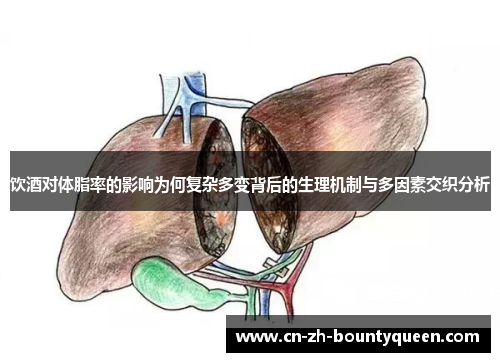 饮酒对体脂率的影响为何复杂多变背后的生理机制与多因素交织分析
