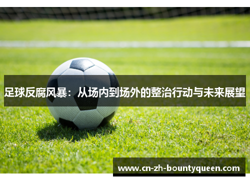 足球反腐风暴：从场内到场外的整治行动与未来展望